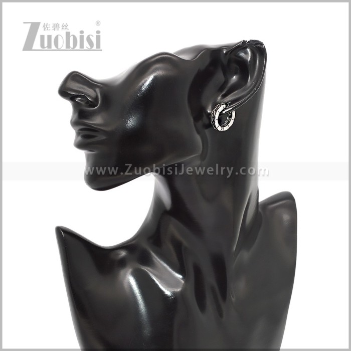 Stainless Steel Earring e002849S