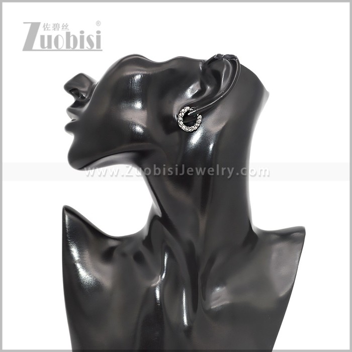 Stainless Steel Earring e002818S