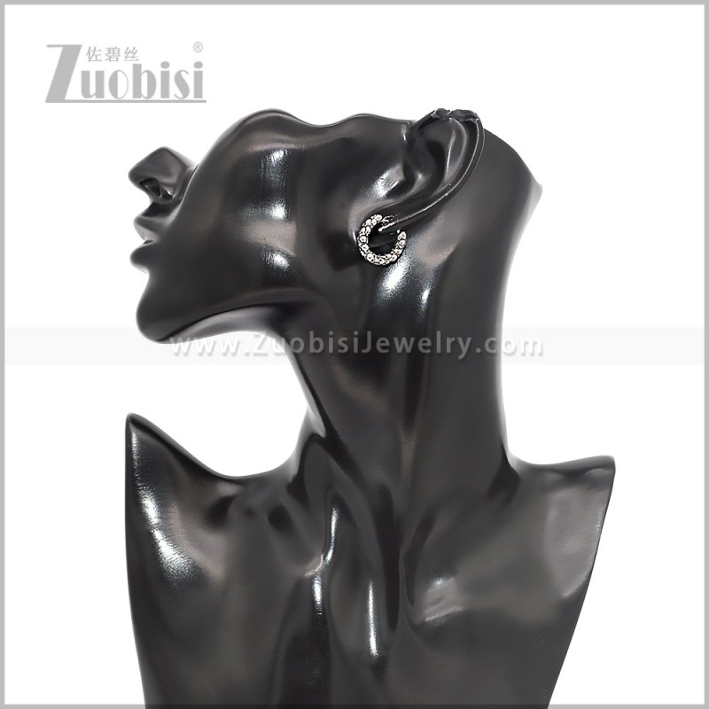 Stainless Steel Earring e002818S