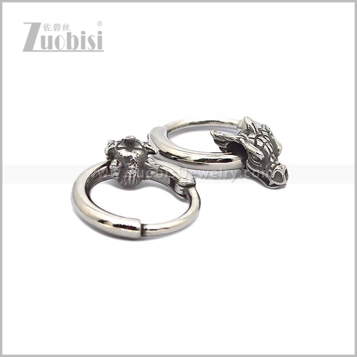 Stainless Steel Earring e002832S