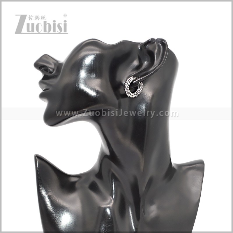 Stainless Steel Earring e002809S