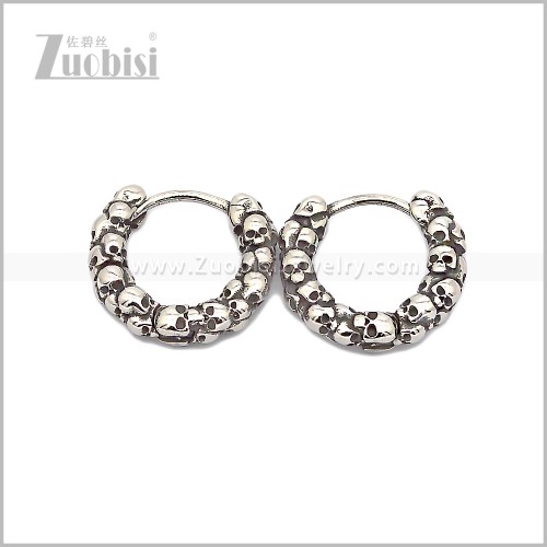 Stainless Steel Earring e002818S