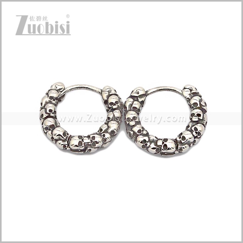 Stainless Steel Earring e002818S
