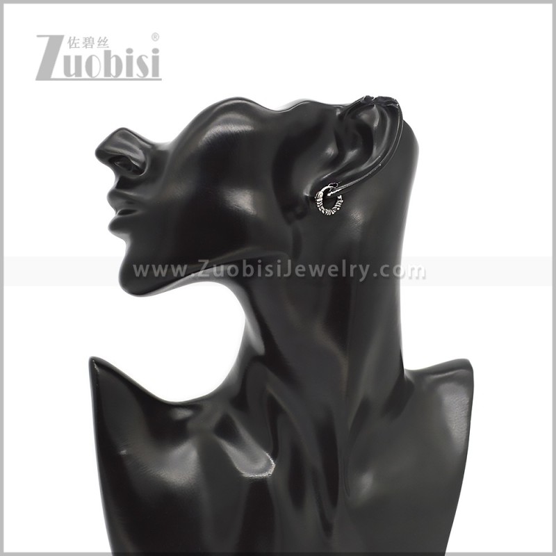 Stainless Steel Earring e002814S