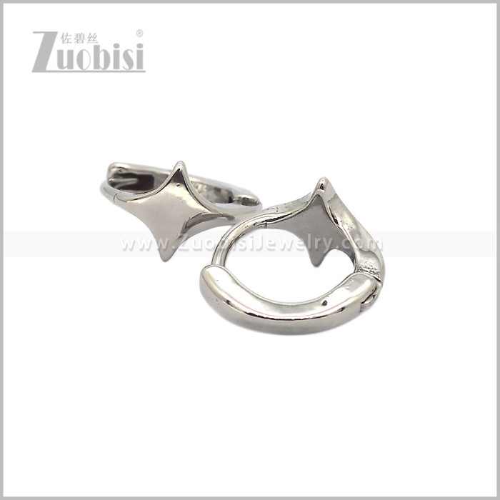 Stainless Steel Earring e002833S