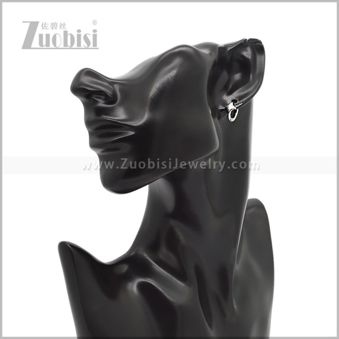 Stainless Steel Earring e002833S