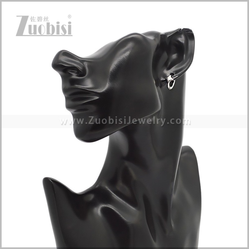 Stainless Steel Earring e002833S