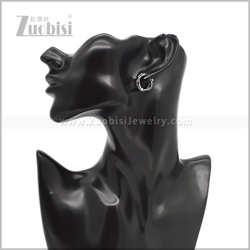 Stainless Steel Earring e002837S