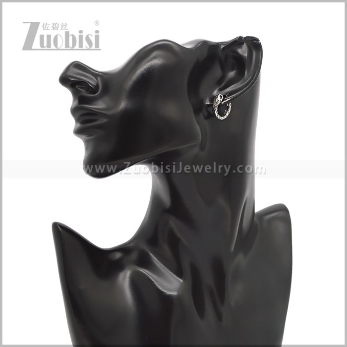 Stainless Steel Earring e002836S