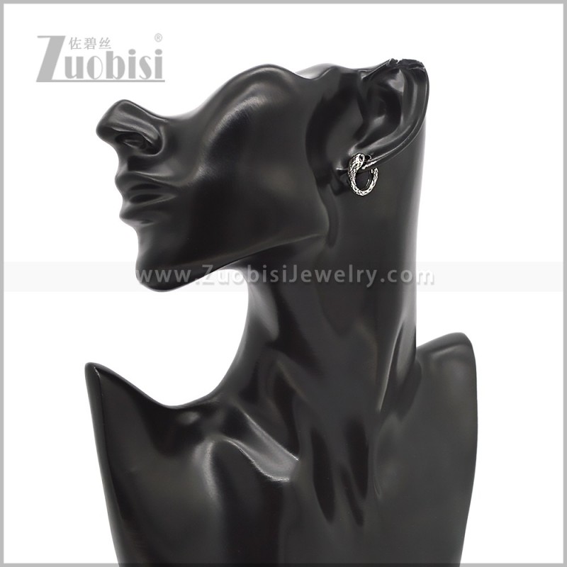Stainless Steel Earring e002836S
