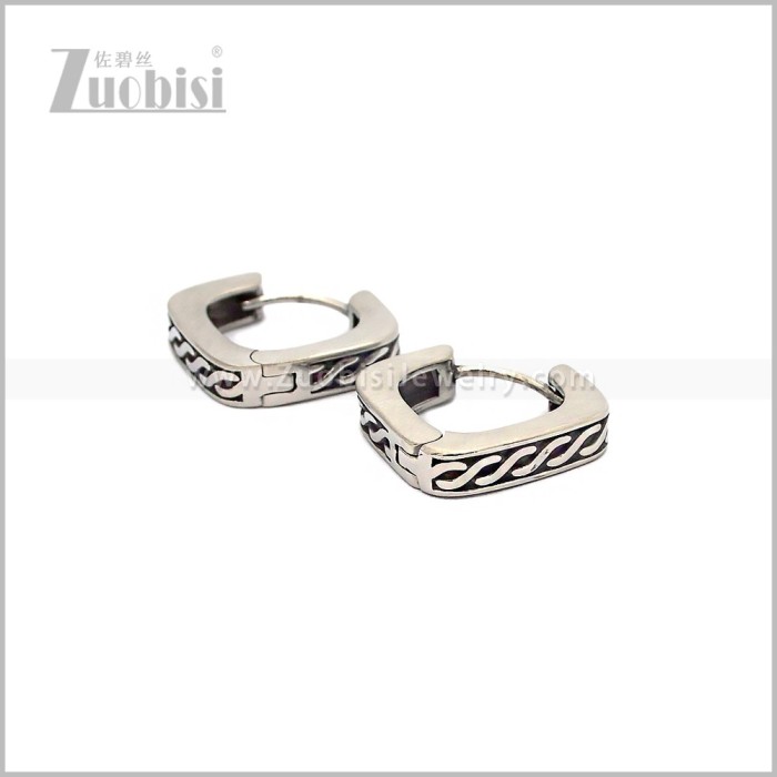 Stainless Steel Earring e002854S