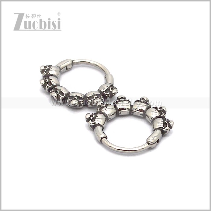 Stainless Steel Earring e002841S