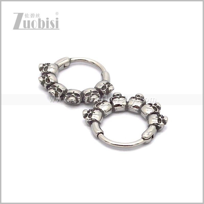 Stainless Steel Earring e002841S