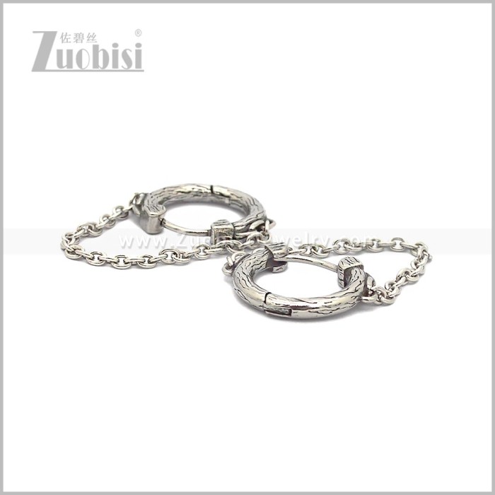 Stainless Steel Earring e002834S