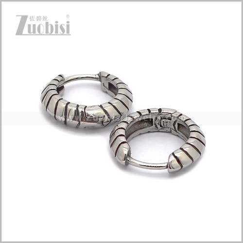 Stainless Steel Earring e002846S