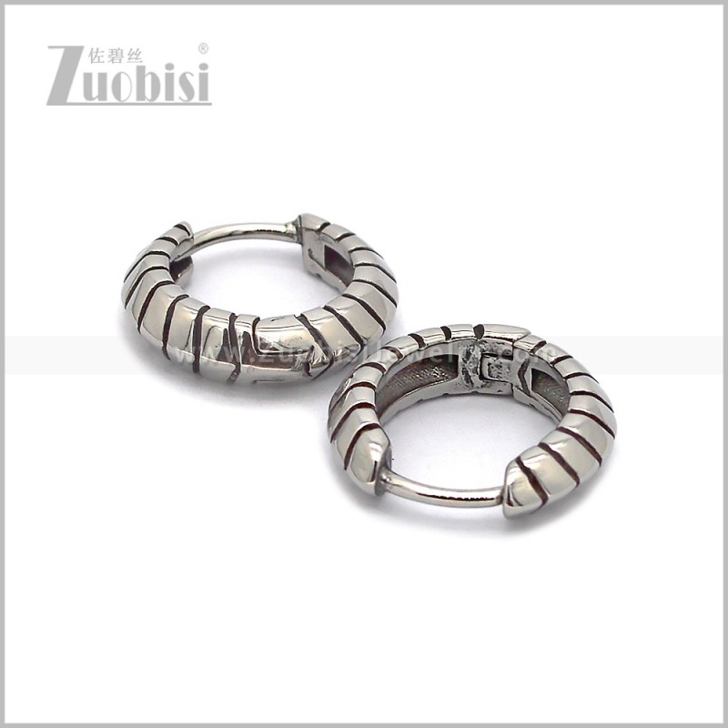 Stainless Steel Earring e002846S