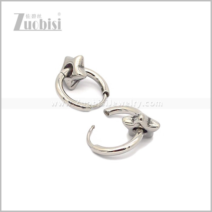 Stainless Steel Earring e002856S