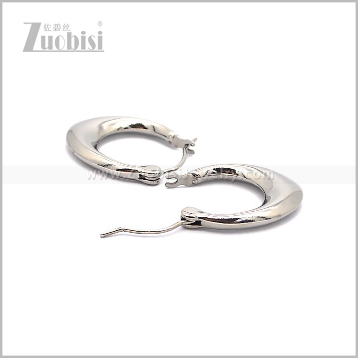 Stainless Steel Earring e002821S