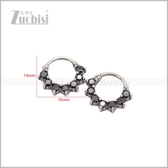 Stainless Steel Earring e002830SH