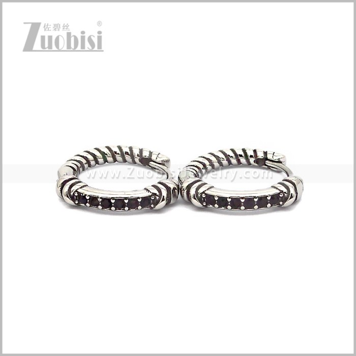 Stainless Steel Earring e002815SH