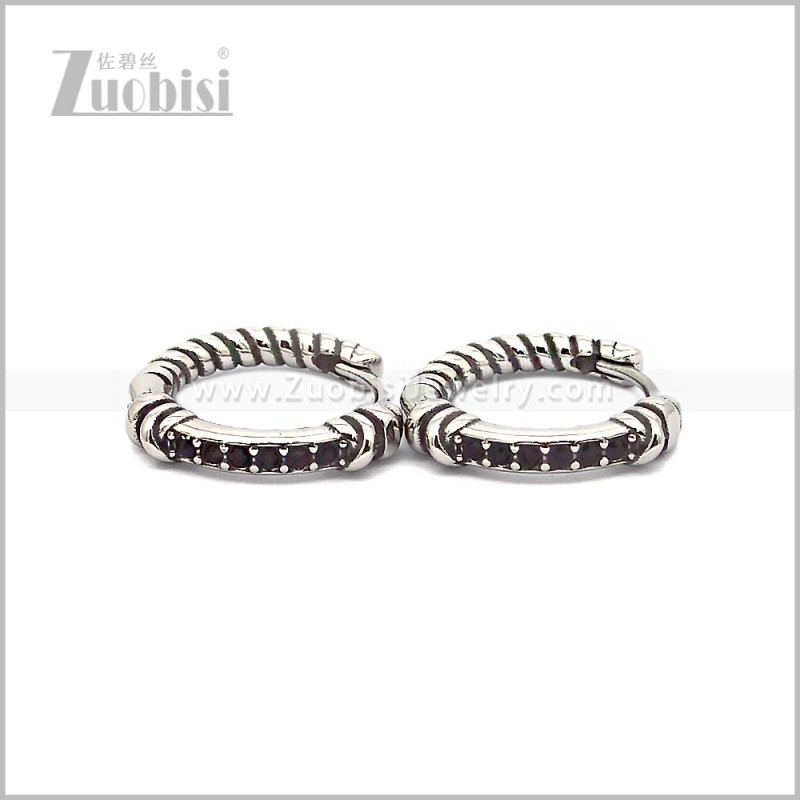 Stainless Steel Earring e002815SH