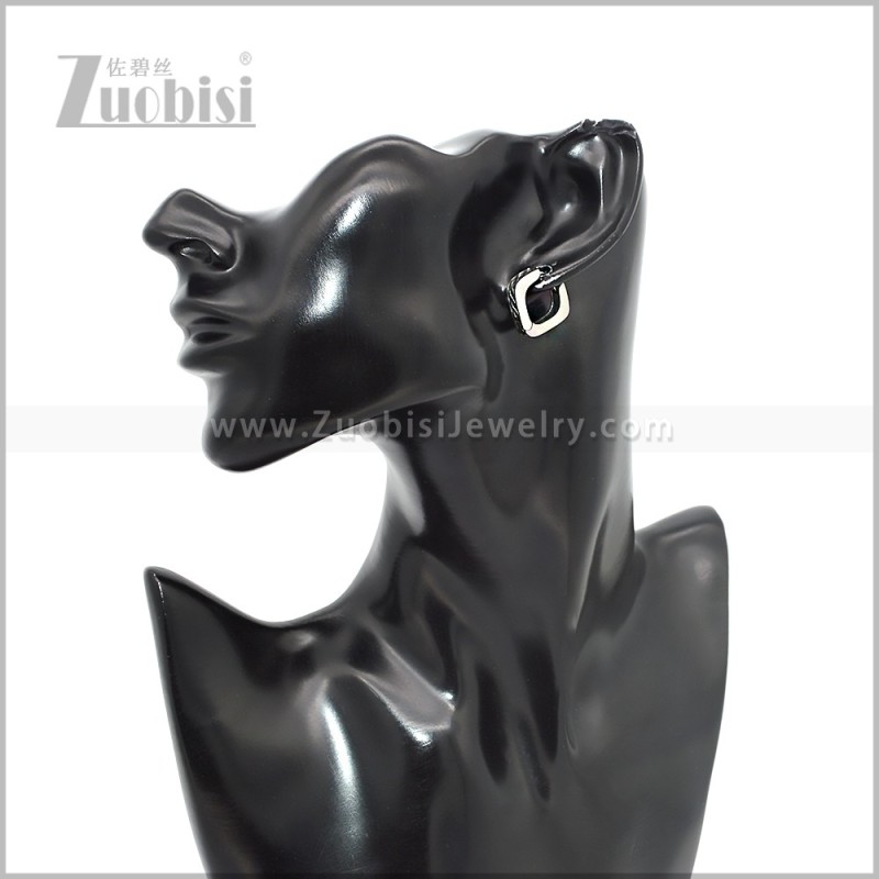 Stainless Steel Earring e002854S