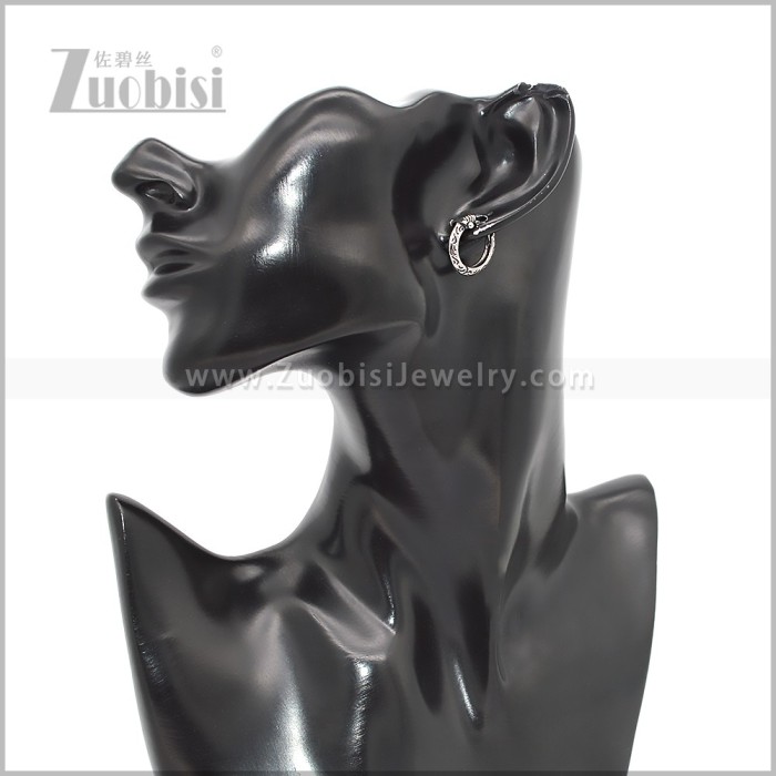 Stainless Steel Earring e002808S