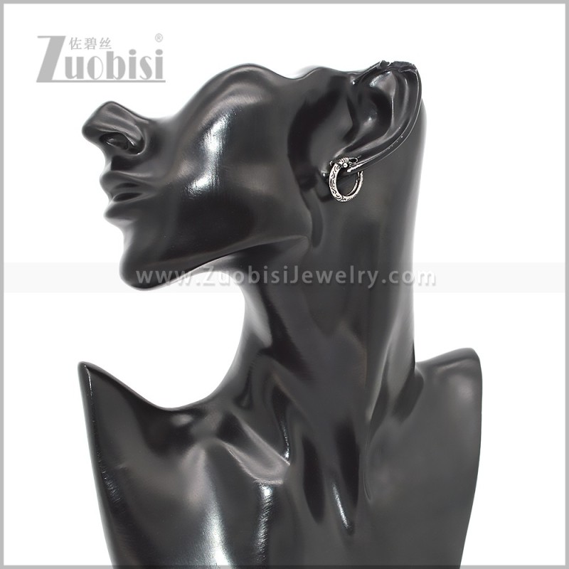 Stainless Steel Earring e002808S