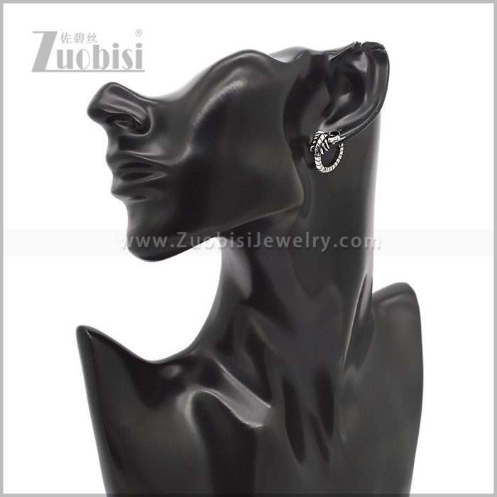 Stainless Steel Earring e002827S