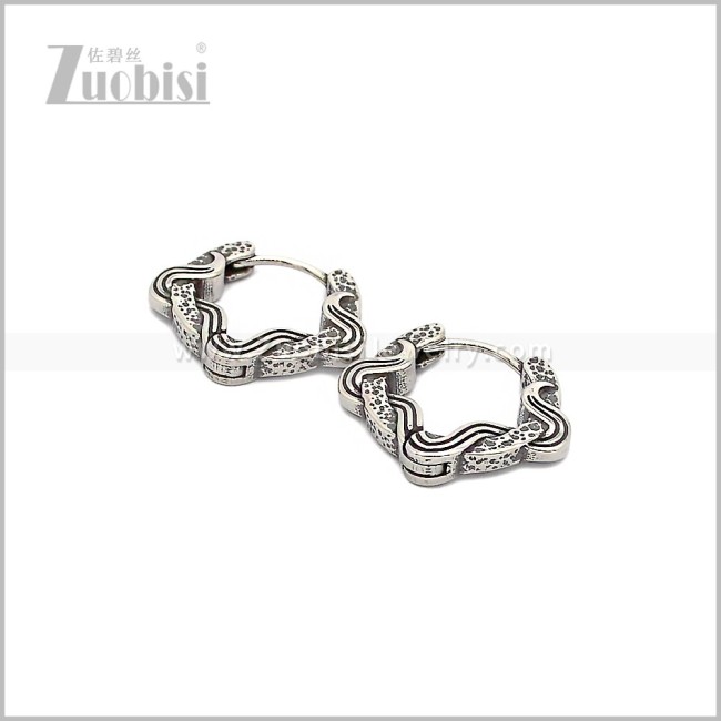 Stainless Steel Earring e002855S