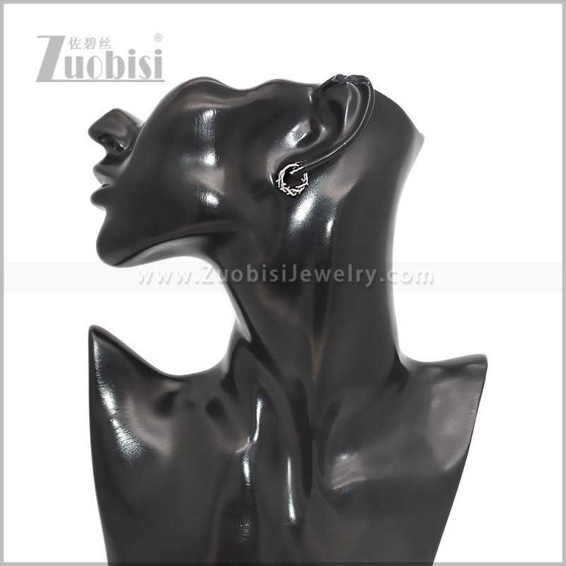 Stainless Steel Earring e002838S