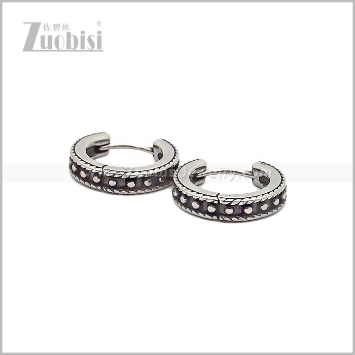 Stainless Steel Earring e002831S