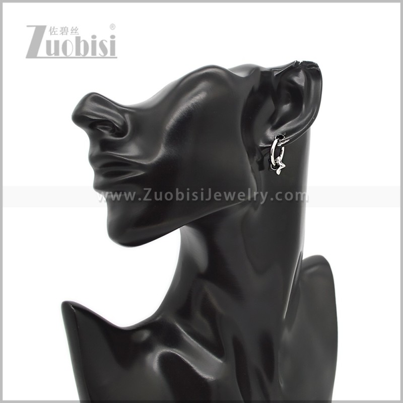 Stainless Steel Earring e002856S