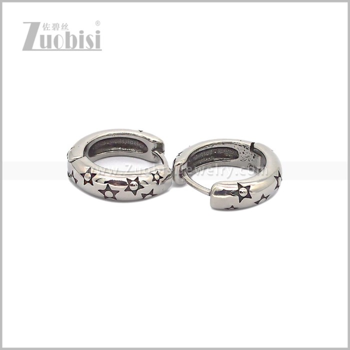 Stainless Steel Earring e002812S