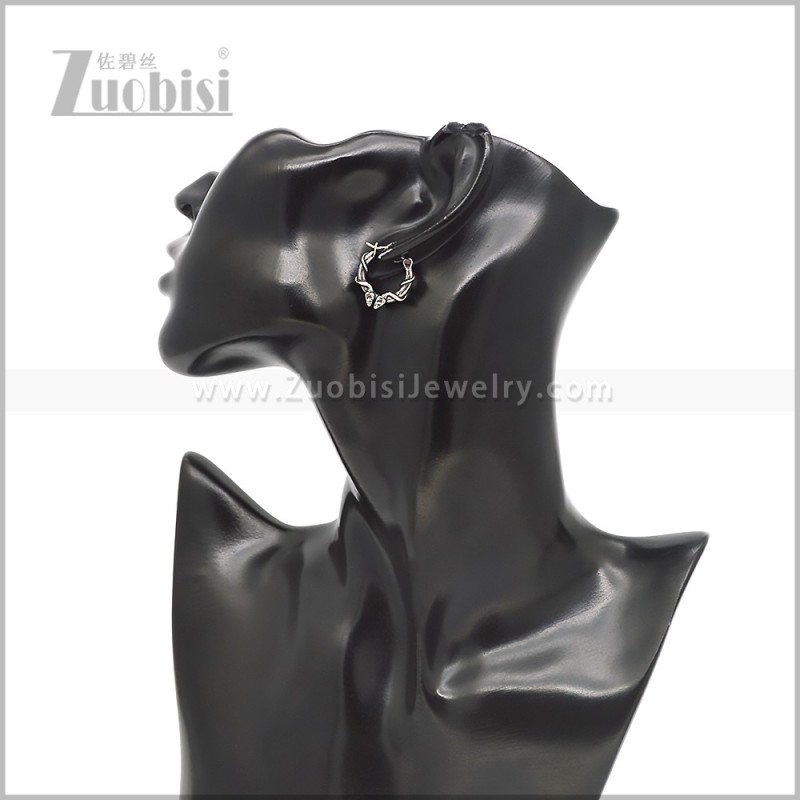 Stainless Steel Earring e002805S