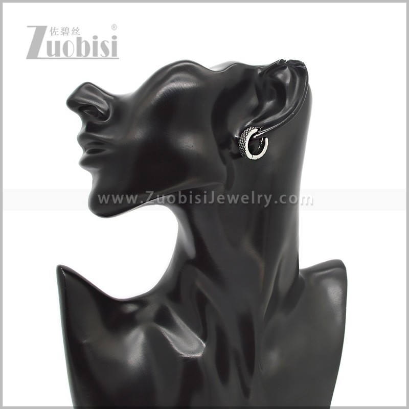 Stainless Steel Earring e002828S