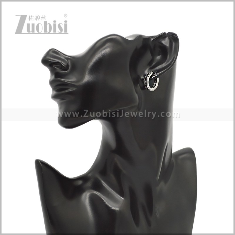 Stainless Steel Earring e002831S