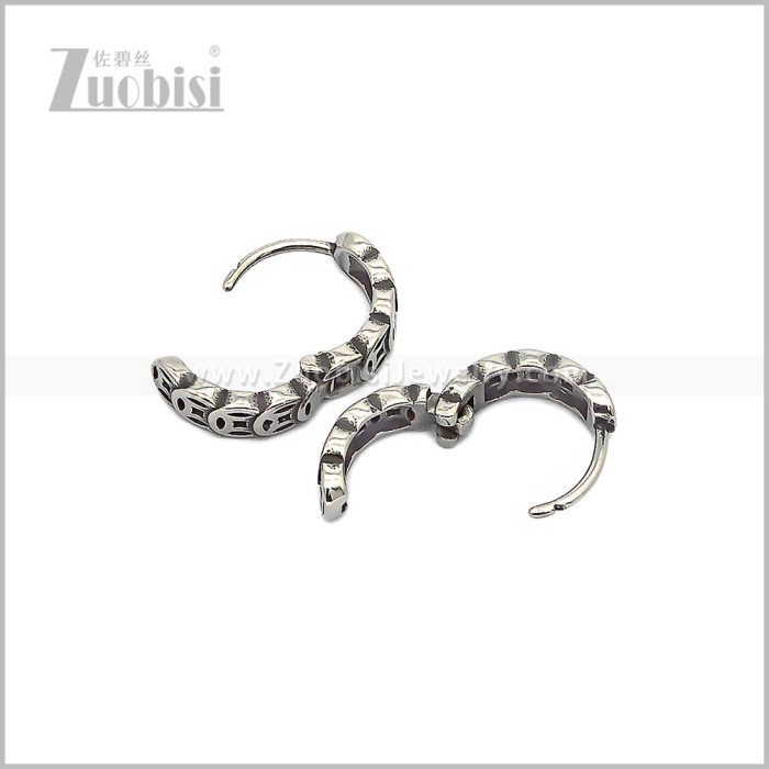 Stainless Steel Earring e002806S
