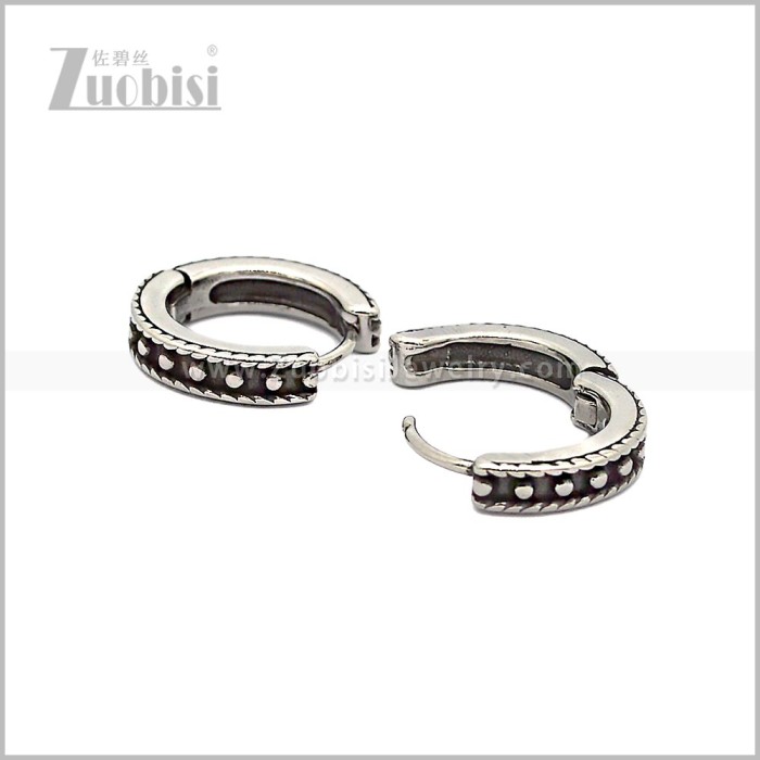 Stainless Steel Earring e002831S