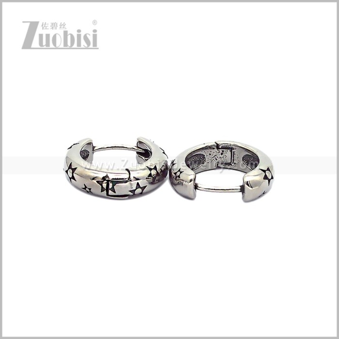 Stainless Steel Earring e002812S