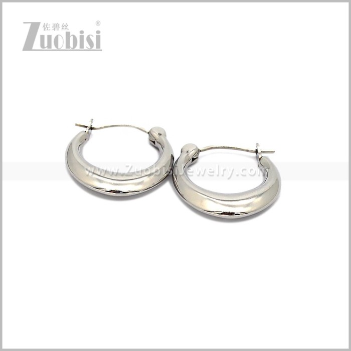 Stainless Steel Earring e002821S