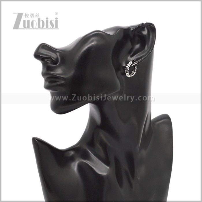 Stainless Steel Earring e002846S