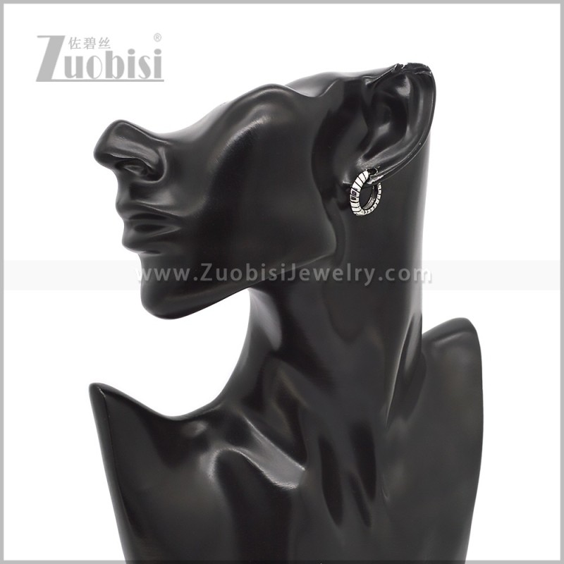 Stainless Steel Earring e002846S