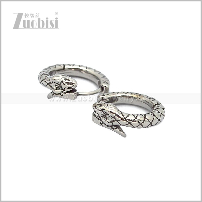 Stainless Steel Earring e002845S