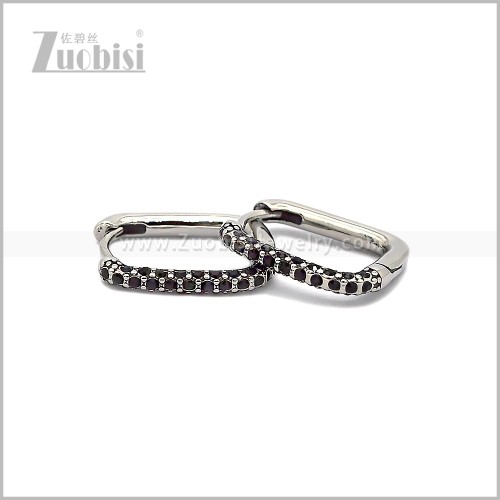 Stainless Steel Earring e002816SH