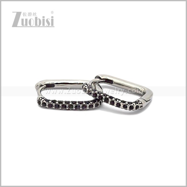 Stainless Steel Earring e002816SH