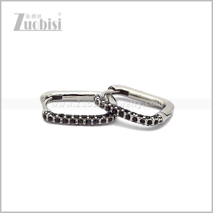 Stainless Steel Earring e002816SH