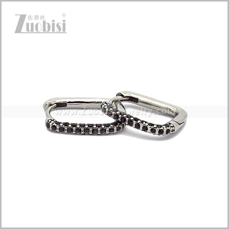 Stainless Steel Earring e002816SH