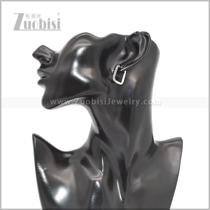 Stainless Steel Earring e002816S