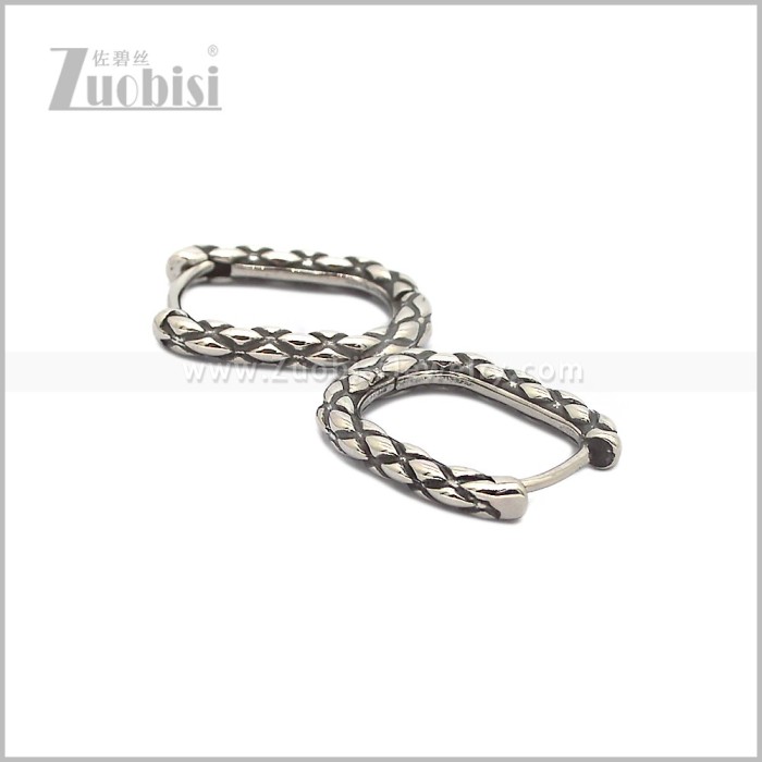 Stainless Steel Earring e002819S